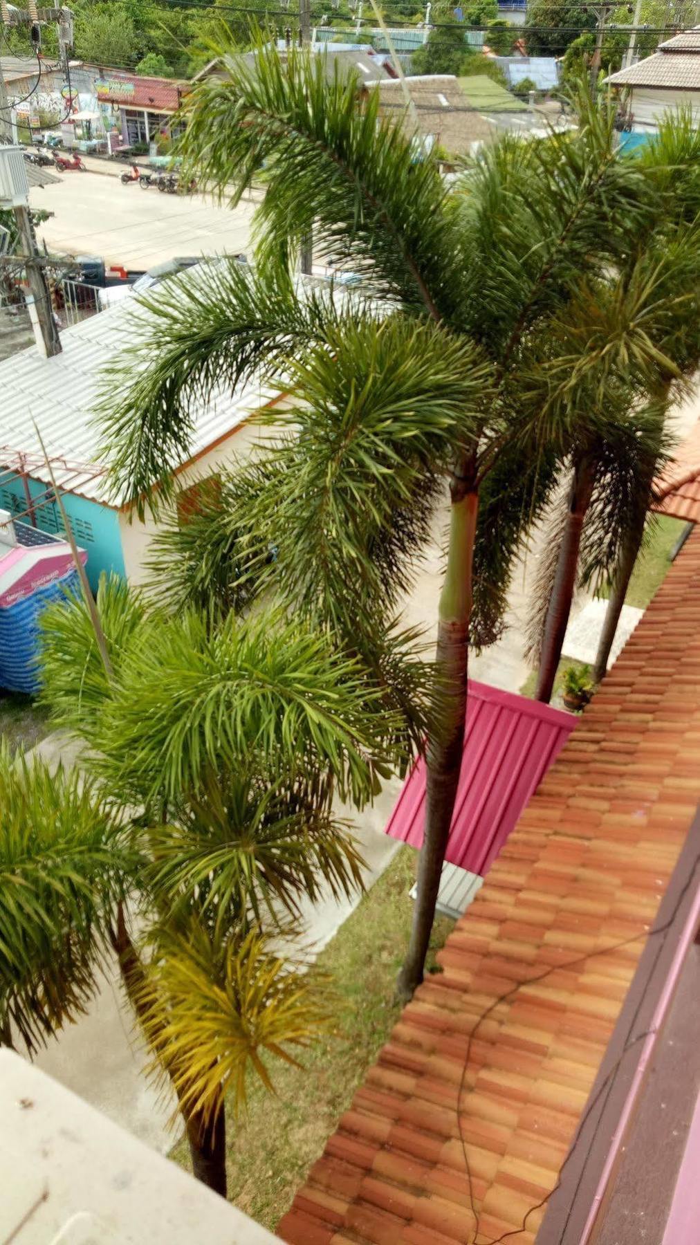 ホテル ランタ スウィート マンション Ko Lanta エクステリア 写真
